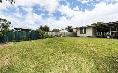 Back garden - before