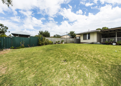 Back garden - before