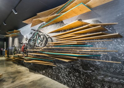 Mountain Bike Display