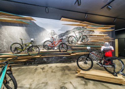 Mountain Bike Display
